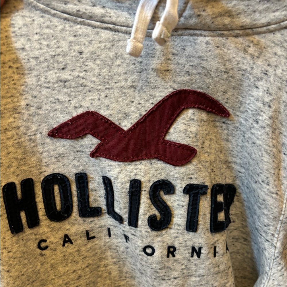 NWOT Hollister Hoodie 🤙 🌊😄